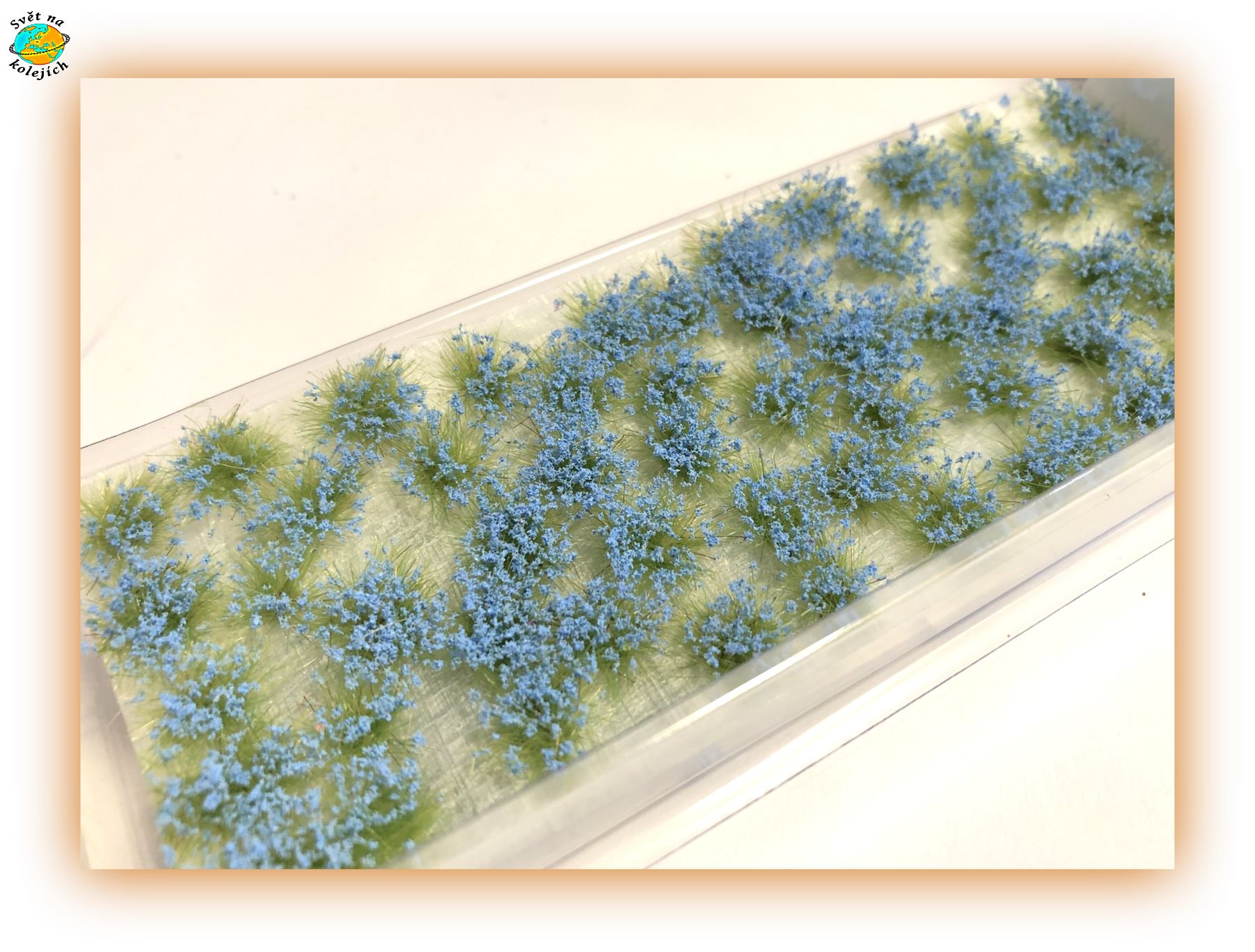 FIORI MODEL SCENE